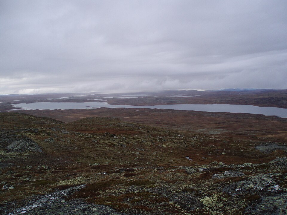 Hardangervidda, Norway